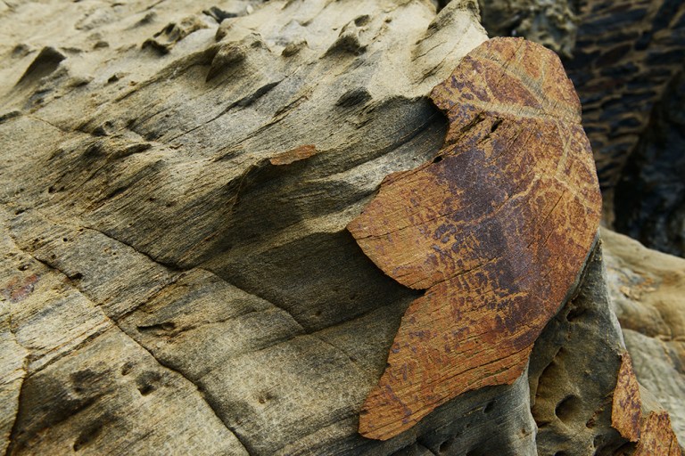 carlatabora_escritura_iv