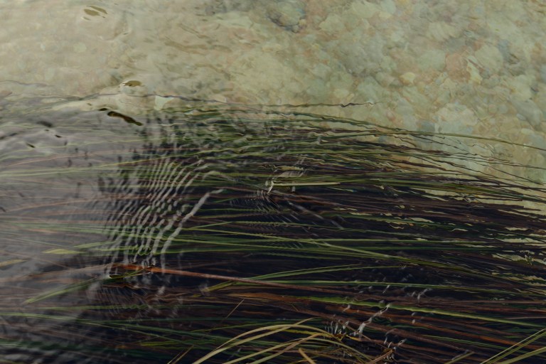 carlatabora_writingii